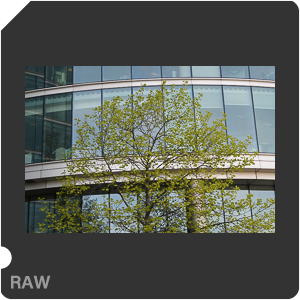 RAW sample