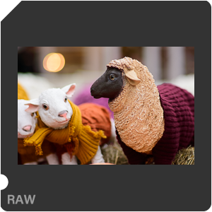 Nikon D3400 Camera with AF Nikkor 85mm f/1.4D IF. Examples of RAW files