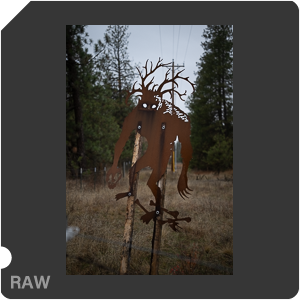 Nikon Z 8 + Nikkor Z 24-70mm f/2.8 S II. Examples of RAW files