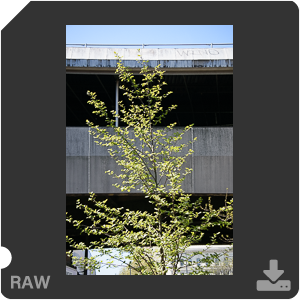 Камера Nikon 1 J5 с объективом 1 Nikkor VR 10-30mm f/3.5-5.6 PD-Zoom. Примеры RAW файлов