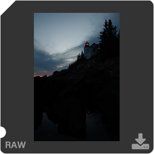 Камера Nikon D500 с объективом AF-S DX Nikkor 16-80mm f/2.8-4E ED VR. Примеры RAW файлов