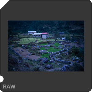 RAW sample