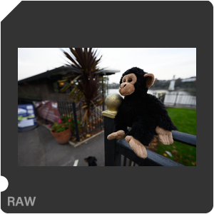 Камера Nikon D с объективом Nikkor Z 14-24mm f/2.8 S. Примеры RAW файлов