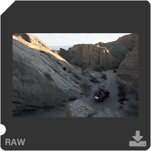 Камера Nikon D500 с объективом AF-S DX Nikkor 16-80mm f/2.8-4E ED VR. Примеры RAW файлов