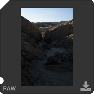 Камера Nikon D500 с объективом AF-S DX Nikkor 16-80mm f/2.8-4E ED VR. Примеры RAW файлов