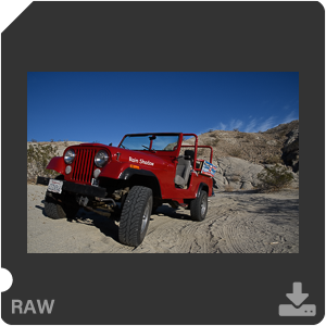 Камера Nikon D500 с объективом AF-S DX Nikkor 16-80mm f/2.8-4E ED VR. Примеры RAW файлов