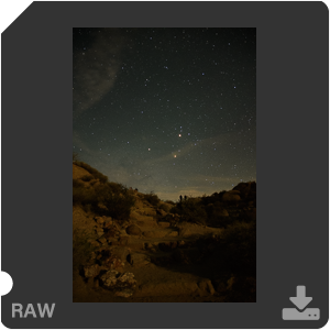 Камера Nikon D500 с объективом AF-S DX Nikkor 16-80mm f/2.8-4E ED VR. Примеры RAW файлов