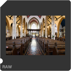 Камера Nikon D500 с объективом AF-S DX Nikkor 16-80mm f/2.8-4E ED VR. Примеры RAW файлов