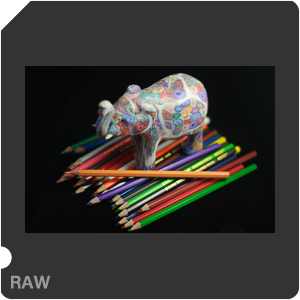 Nikon D80 Camera with AF Nikkor 50mm f/1.8 New. Examples of RAW files