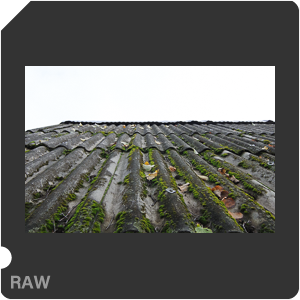 RAW sample