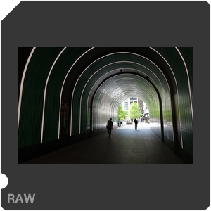 RAW sample