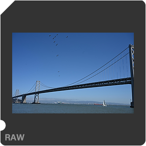 Камера Nikon Z 6III с объективом Nikkor Z 24-70mm f/2.8 S. Примеры RAW файлов