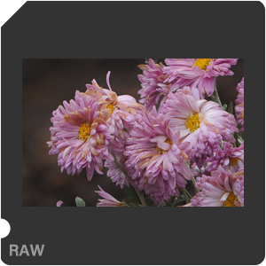 Nikon 1 V1 Camera with Upiter-36 250mm f/3.5. Examples of RAW files