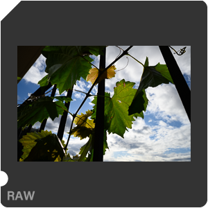 RAW sample