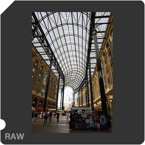 Nikon D3X Camera with AF-S Nikkor 24-70mm f/2.8G ED. Examples of RAW files