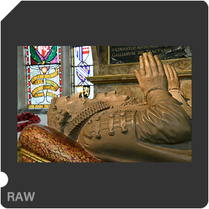 Камера Nikon D500 с объективом AF-S DX Nikkor 16-80mm f/2.8-4E ED VR. Примеры RAW файлов