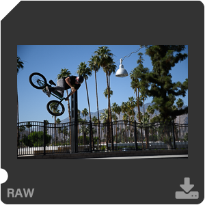 Камера Nikon D500 с объективом AF-S DX Nikkor 16-80mm f/2.8-4E ED VR. Примеры RAW файлов