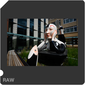 Камера Nikon Z 7 с объективом Nikkor Z 24-120mm f/4 S. Примеры RAW файлов