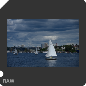 Камера Nikon Z 7 с объективом Nikkor Z 24-120mm f/4 S. Примеры RAW файлов