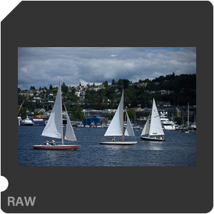 Камера Nikon Z 7 с объективом Nikkor Z 24-120mm f/4 S. Примеры RAW файлов