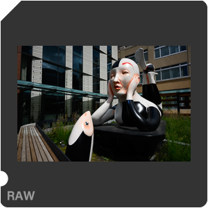 Камера Nikon Z 7 с объективом Nikkor Z 24-120mm f/4 S. Примеры RAW файлов