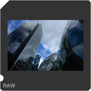 Камера Nikon Z 7 с объективом Nikkor Z 24-120mm f/4 S. Примеры RAW файлов