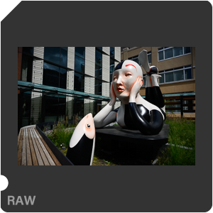 Камера Nikon Z 7 с объективом Nikkor Z 24-120mm f/4 S. Примеры RAW файлов