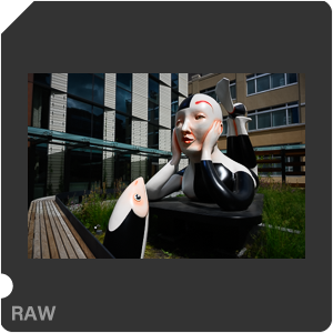 Камера Nikon Z 7 с объективом Nikkor Z 24-120mm f/4 S. Примеры RAW файлов