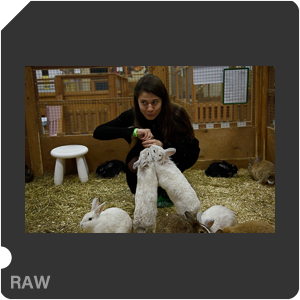 Nikon D3400 с объективом AF-S DX Zoom-Nikkor 17-55mm f/2.8G IF-ED. Примеры RAW файлов