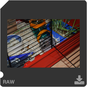 Камера Nikon D200 с объективом AF-S DX Nikkor 18-55mm f/3.5-5.6G ED. Примеры RAW файлов