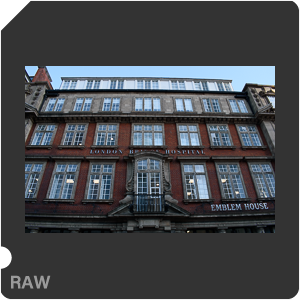 Камера Nikon D3500 с объективом AF-P DX Nikkor 18-55mm F/3.5-5.6G VR. Примеры RAW файлов