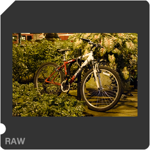 Nikon D7200 с объективом AF-S DX Nikkor 18-140mm f/3.5-5.6G ED VR. Примеры RAW файлов