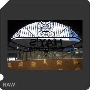 Камера Nikon Z 6 с объективом Nikkor Z 24-70mm f/4 S. Примеры RAW файлов