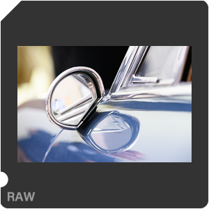 Камера Nikon D с объективом AF-S Nikkor 105 mm f/1.4E ED. Примеры RAW файлов