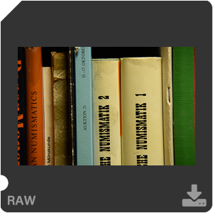 Камера Nikon D7500 с AF-S DX Nikkor 18-300mm f/3.5-5.6G ED VR. Примеры RAW файлов