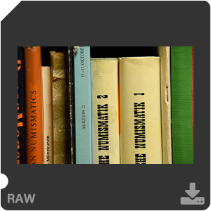 Камера Nikon D7500 с AF-S DX Nikkor 18-300mm f/3.5-5.6G ED VR. Примеры RAW файлов