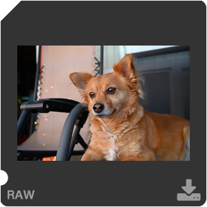 Камера Nikon Z 50 с объективом Nikkor Z DX 24 mm f/1.7. Примеры RAW файлов