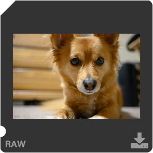 Камера Nikon Z 50 с объективом Nikkor Z DX 24 mm f/1.7. Примеры RAW файлов