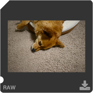 Камера Nikon Z 50 с объективом Nikkor Z DX 24 mm f/1.7. Примеры RAW файлов