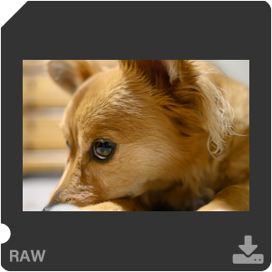 Камера Nikon Z 50 с объективом Nikkor Z DX 24 mm f/1.7. Примеры RAW файлов