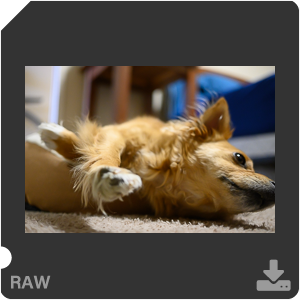 Камера Nikon Z 50 с объективом Nikkor Z DX 24 mm f/1.7. Примеры RAW файлов