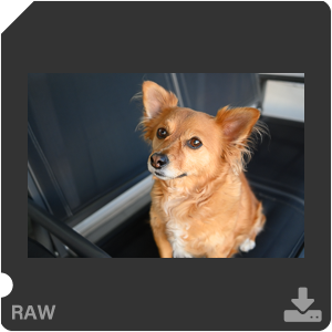 Камера Nikon Z 50 с объективом Nikkor Z DX 24 mm f/1.7. Примеры RAW файлов