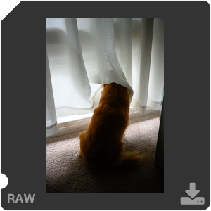 Камера Nikon Z 50 с объективом Nikkor Z DX 24 mm f/1.7. Примеры RAW файлов