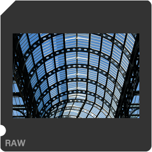 Камера Nikon D3500 с объективом AF-P DX Nikkor 18-55mm F/3.5-5.6G VR. Примеры RAW файлов