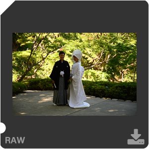 Камера Nikon Z 7 с объективом Nikkor Z 24-70mm f/4 S. Примеры RAW файлов