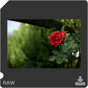 Камера Nikon D750 с объективом AF-S Nikkor 50 mm f/1.8G. Примеры RAW файлов