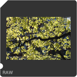 RAW sample