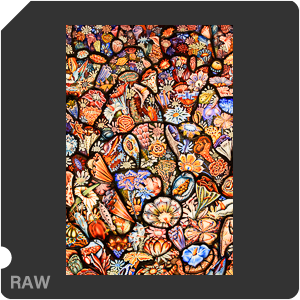 Nikon D5600 + AF-S Nikkor 20mm f/1.8G ED. Примеры RAW файлов