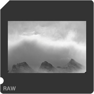 Камера Nikon D с объективом AF-S VR Zoom-Nikkor 70-200mm f/2.8G IF-ED. Примеры RAW файлов