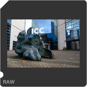 Камера Nikon Z 6 с объективом Nikkor Z 24-70mm f/4 S. Примеры RAW файлов